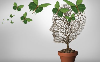 Estructuras Mentales y la Depresión